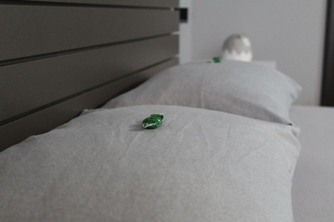 Apartman Daca Подгорица Экстерьер фото